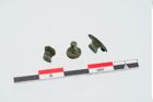 Foto von Bronzeniet (NHMW-PRAE-024922)